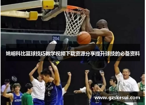 姚明科比篮球技巧教学视频下载资源分享提升球技的必备资料