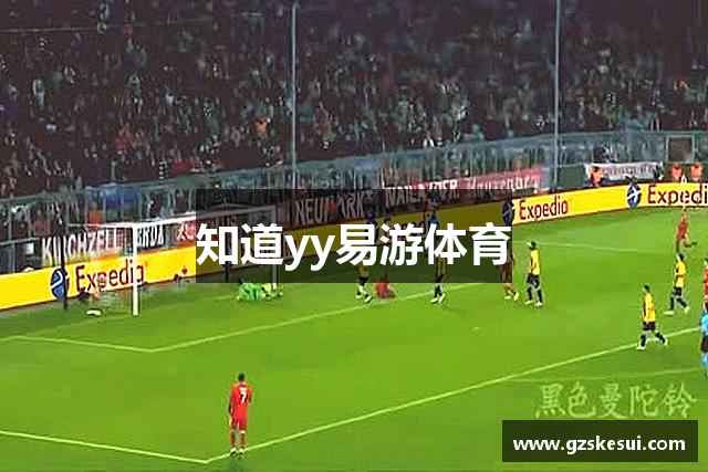知道yy易游体育